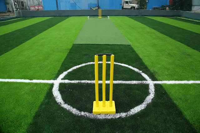 Turf photo 2