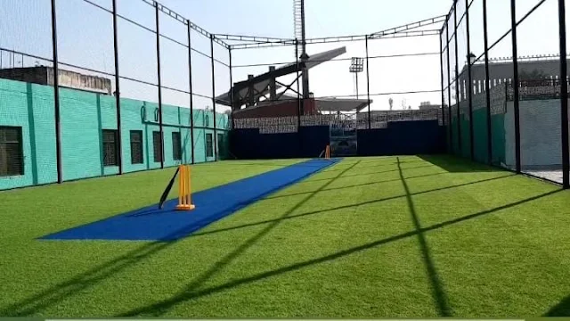 Turf main photo