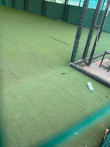 Turf photo 4