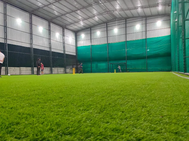 Turf photo 2