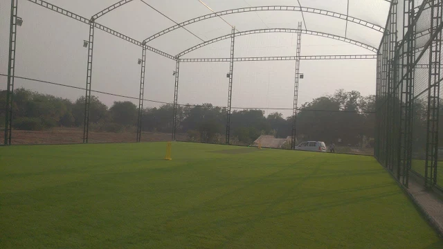 Turf photo 2