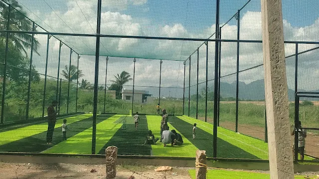 MSD Sports turf