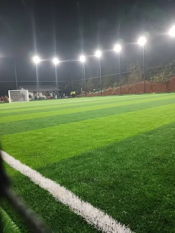 Turf photo 2