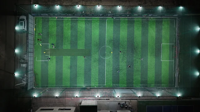 Turf photo 3