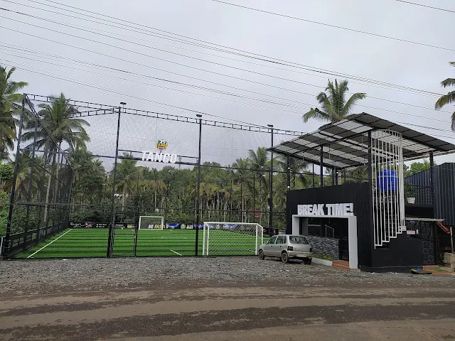 Turf photo 2