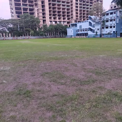 Turf photo 7