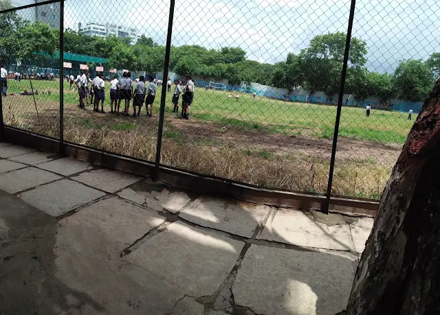Turf photo 6