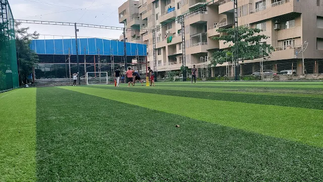 Turf photo 2