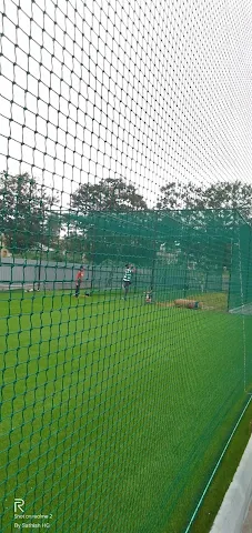 Turf photo 5