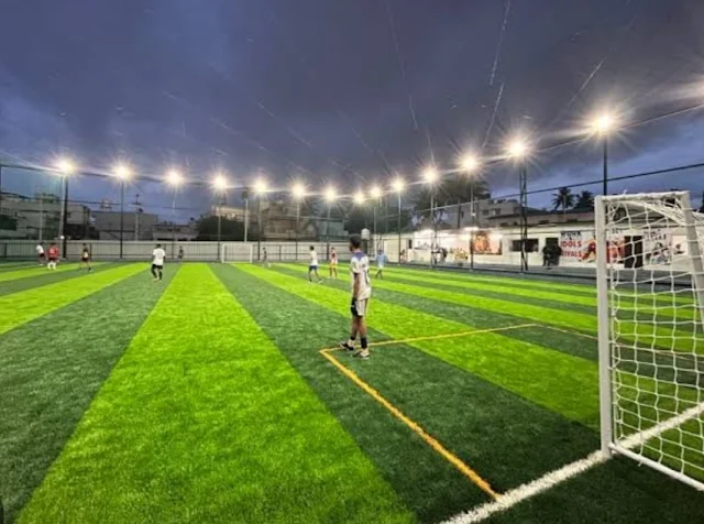 Turf photo 2