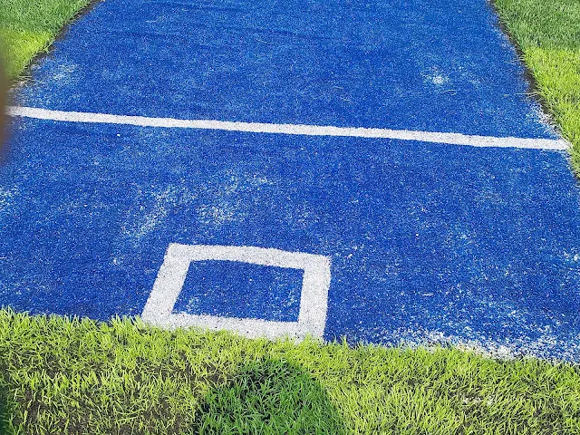 Turf photo 7