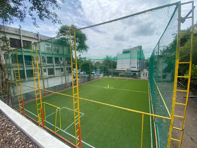 Turf photo 12