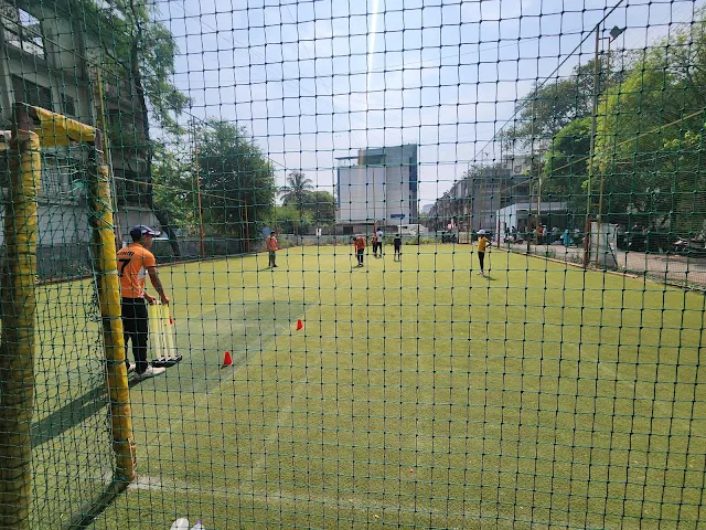 Turf main photo