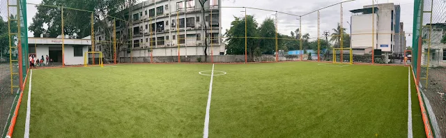 Turf photo 11