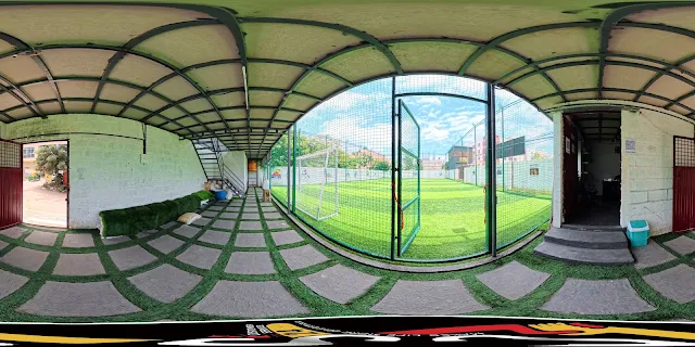Turf photo 3