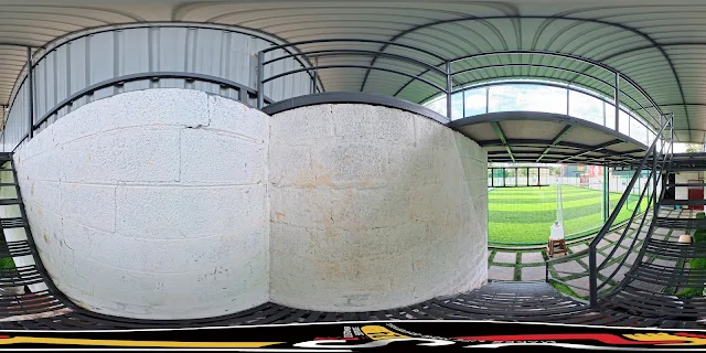 Turf photo 8