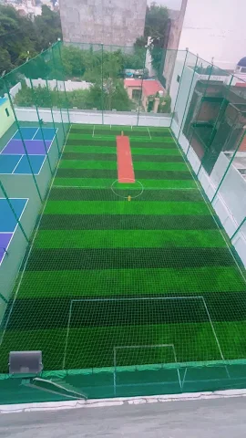 Turf photo 2