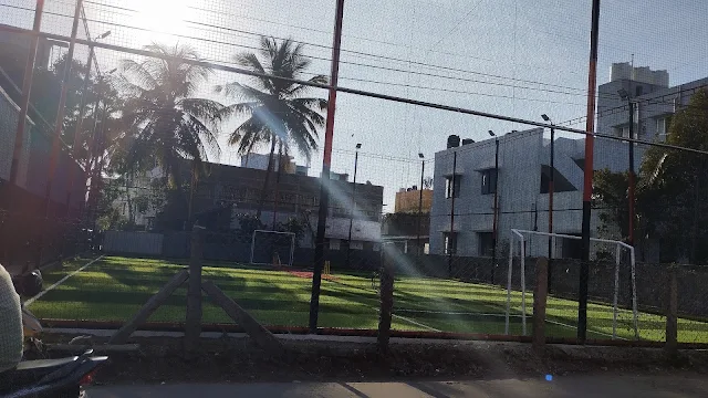 Turf photo 2
