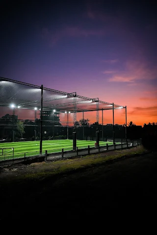 Turf photo 3