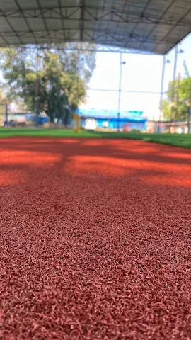 Turf photo 4