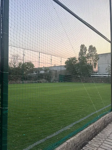 Turf photo 3