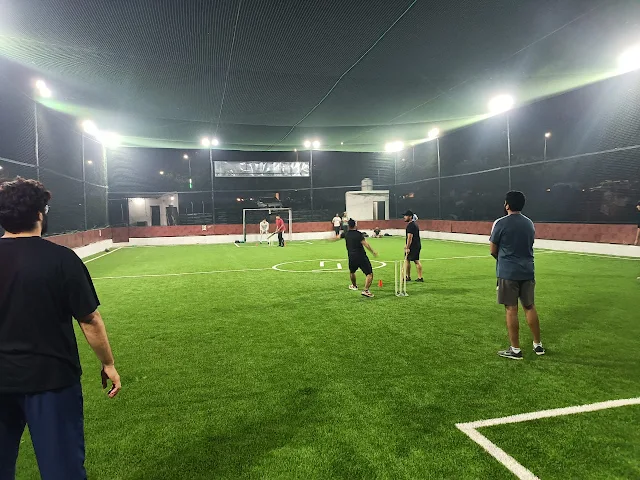 Turf photo 2