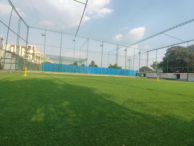 Turf photo 3