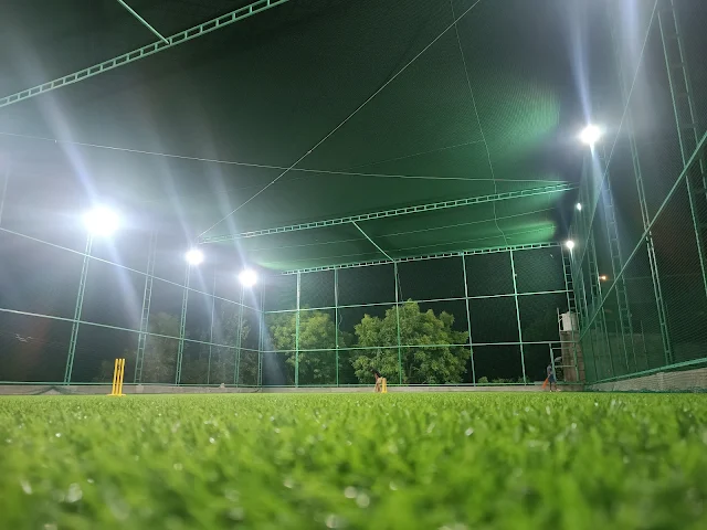 Turf photo 5