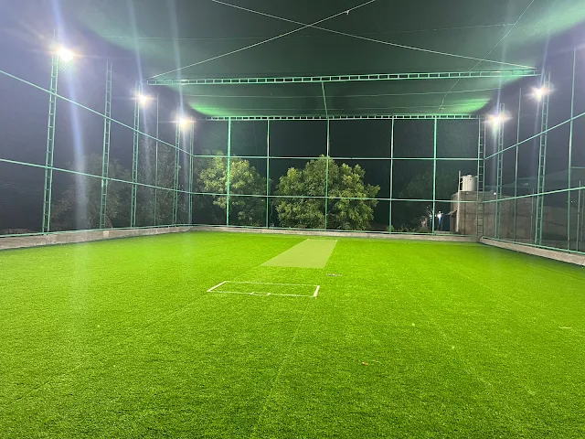 Turf photo 7