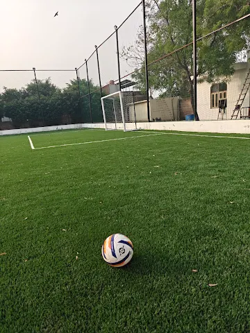 Turf photo 3