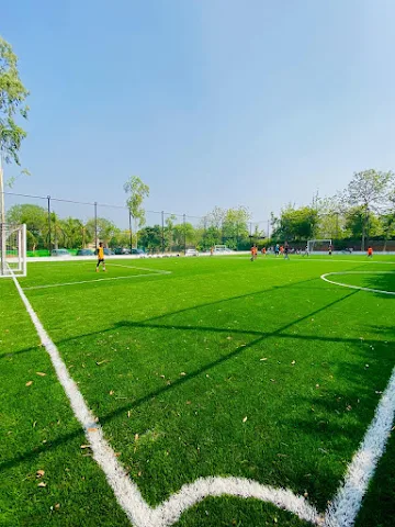 Turf photo 2