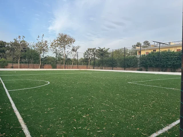 Turf photo 4