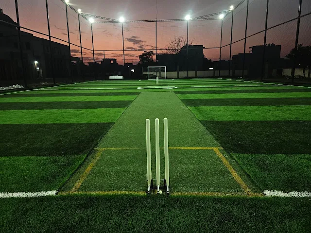 Turf photo 2
