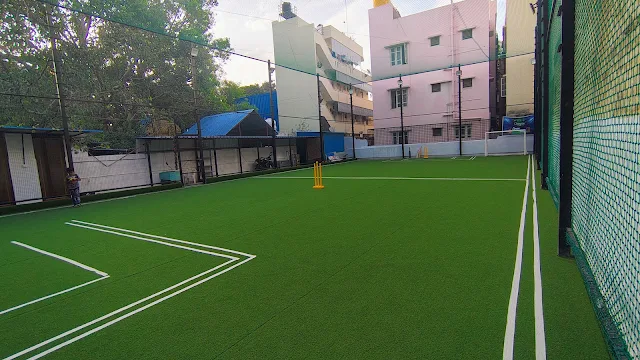 Turf photo 2