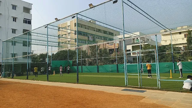 Turf main photo