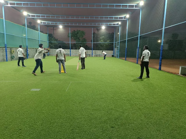 Turf photo 3