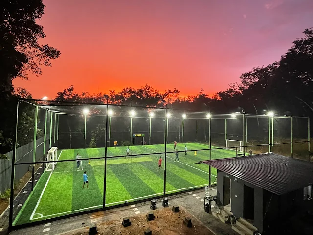 Turf photo 2