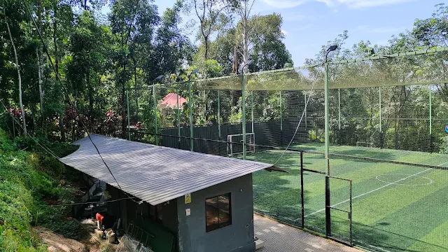 CLUB 35 TURF PALA