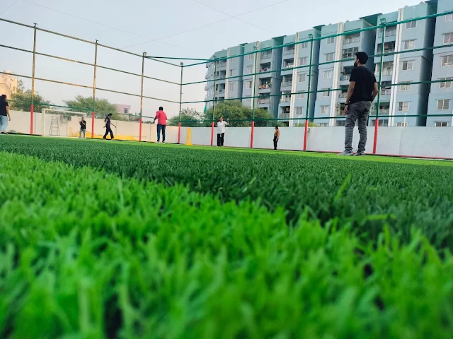Turf photo 5