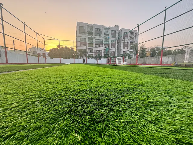 Turf photo 3