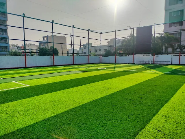 Turf photo 6