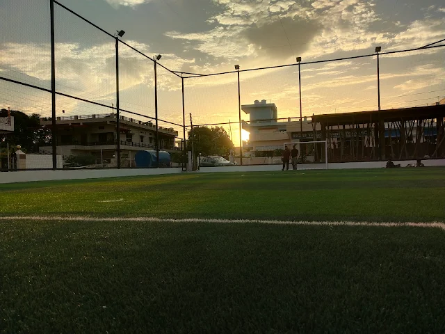 Turf photo 3