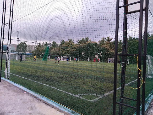 Turf photo 2