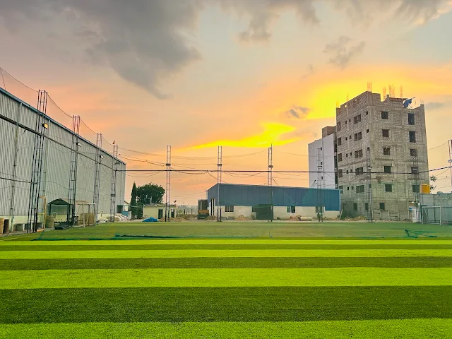 Turf main photo