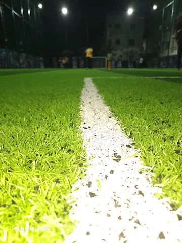 Turf photo 5