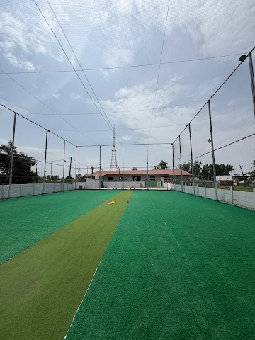 Turf photo 5