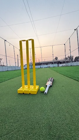 Balls Of Fury- Box cricket