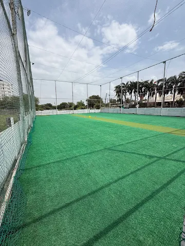 Turf photo 4