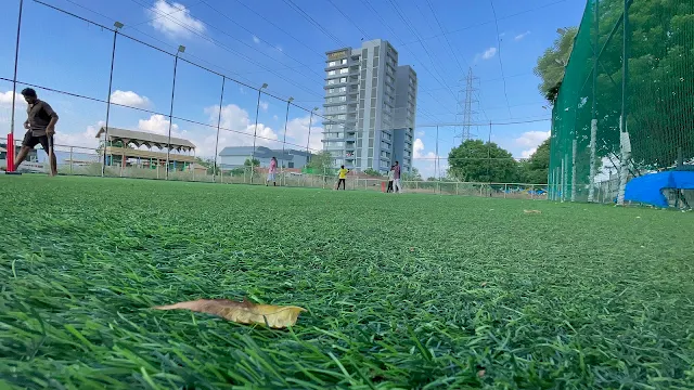 Turf photo 3