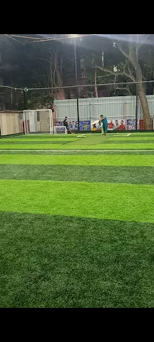 Turf photo 2